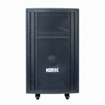 Loa Acnos CB3050G