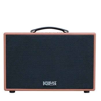 Loa Acnos CS250PU