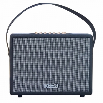 Loa Acnos CS270