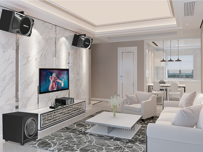 thiết kế của loa karaoke Paramax P1000