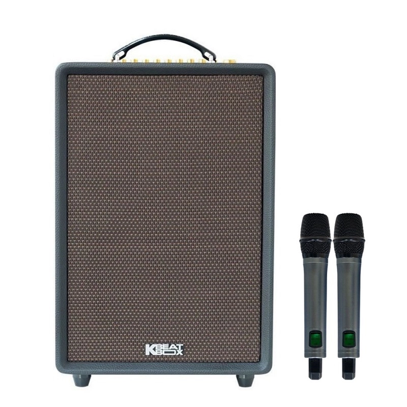 Loa Acnos High Fidelity Pro