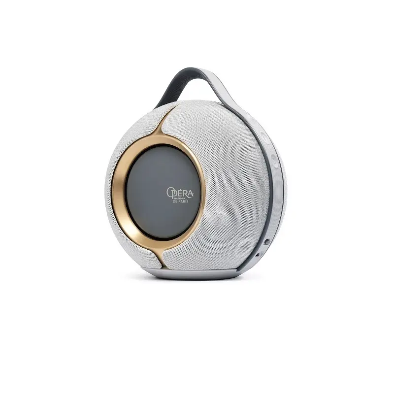 Hướng dẫn sử dụng loa Devialet Mania