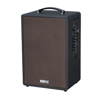 Loa Acnos Symphony